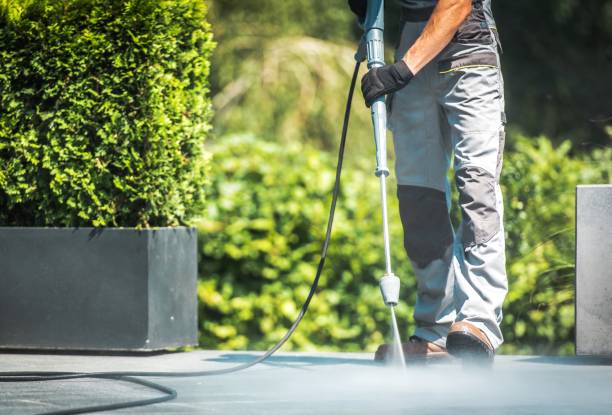 Best Post-Construction Pressure Washing  in Wanamingo, MN