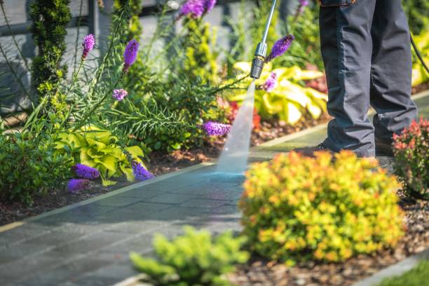 Best Gas Station Cleaning  in Wanamingo, MN