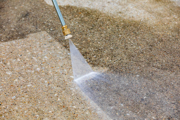 Best Animal Enclosure Cleaning  in Wanamingo, MN