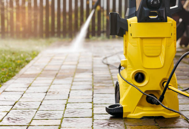 Best Solar Panel Cleaning  in Wanamingo, MN