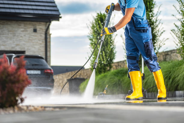 Best Pool Deck Cleaning  in Wanamingo, MN