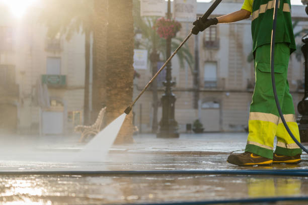 Best Warehouse Cleaning  in Wanamingo, MN